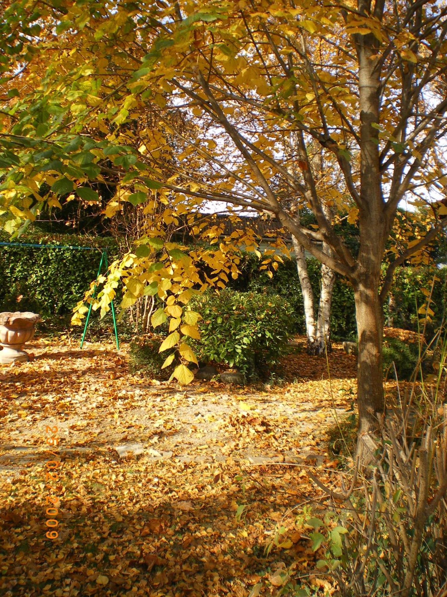 Campagne Hotel Montélimar Buitenkant foto