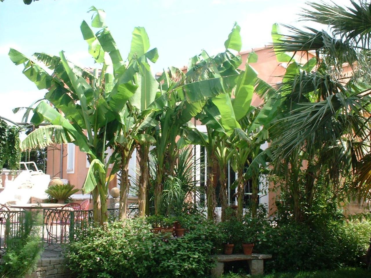 Campagne Hotel Montélimar Buitenkant foto